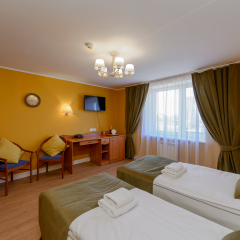 Арт-Отель Карелия 4* Номер Бизнес с 2 отдельными кроватями фото 16