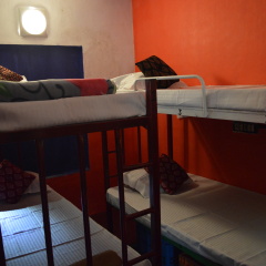 Shire Hostel in Munnar, India from 30$, photos, reviews - zenhotels.com photo 3