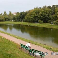 Апартаменты Евгений