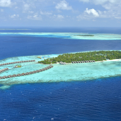 Отель Ayada Maldives Мальдивы, Хадахаа - отзывы, цены и фото номеров - забронировать отель Ayada Maldives онлайн пляж фото 4