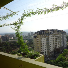 Отель Хостел Kiki Грузия, Тбилиси - 4 отзыва об отеле, цены и фото номеров - забронировать отель Хостел Kiki онлайн балкон