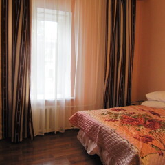 Mini-Hotel Alexandria Plus Номер категории Эконом с различными типами кроватей фото 21