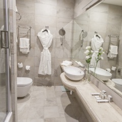Гостиница Palmira Business Club 4* Стандартный номер с различными типами кроватей фото 4
