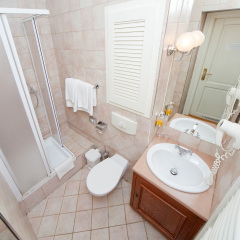 Hotel Waldstein 4* Стандартный номер с различными типами кроватей фото 16