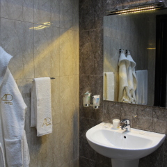 Отель Avan Plaza ванная