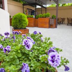 Отель Reprua Guest House Абхазия, Гагра - отзывы, цены и фото номеров - забронировать отель Reprua Guest House онлайн