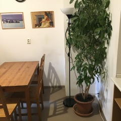 Hostel Rosemary Кровать в общем номере с двухъярусной кроватью фото 41