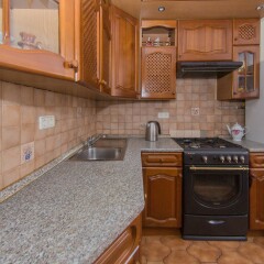 Апартаменты Карманицкий в номере фото 2