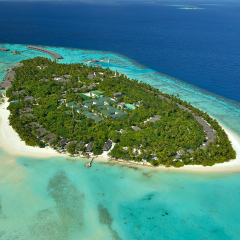 Отель Ayada Maldives Мальдивы, Хадахаа - отзывы, цены и фото номеров - забронировать отель Ayada Maldives онлайн пляж фото 3