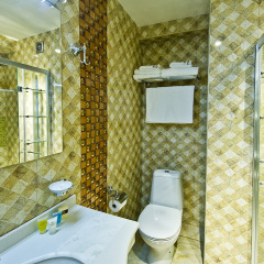 Отель Cron Palace Tbilisi 4* Стандартный номер фото 33