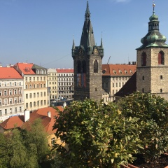 Hostel Rosemary Кровать в женском общем номере с двухъярусной кроватью фото 6