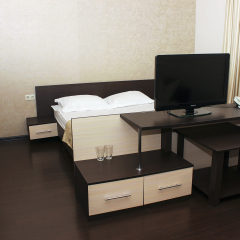 Гостиница Александрия 3* Номер Комфорт разные типы кроватей фото 9