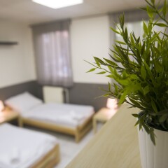 Хостел Seven Prague Номер категории Эконом с различными типами кроватей фото 7