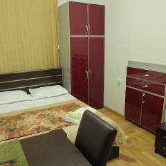 Daniel Boutique Hotel 3* Номер Эконом разные типы кроватей фото 2