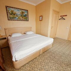 Vnukovo Village Park Hotel and Spa 4* Студия фото 3