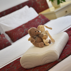 Отель Residence Suite Home Praha 4* Люкс фото 10