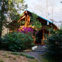 Гостиница Chalet Dom Ohotnika
