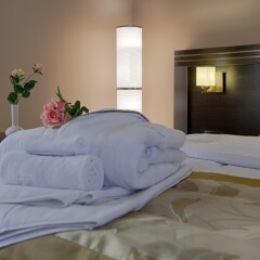Aghveran Ararat Resort Hotel 4* Люкс с различными типами кроватей фото 2