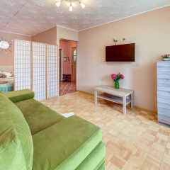 Гостиница Savushkina 139 Apartments в Санкт-Петербурге отзывы, цены и фото номеров - забронировать гостиницу Savushkina 139 Apartments онлайн Санкт-Петербург комната для гостей фото 4