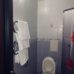 Гостиница Palma Hotel в Сочи отзывы, цены и фото номеров - забронировать гостиницу Palma Hotel онлайн