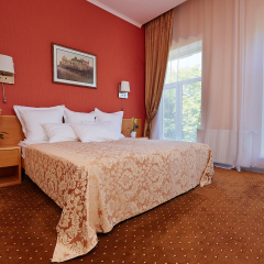 Отель Александровский 4* Полулюкс фото 4
