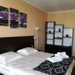 Pulodi 1 Apartments in Dushanbe, Tajikistan from 26$, photos, reviews - zenhotels.com guestroom