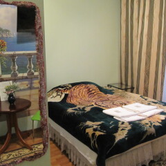 Mini-Hotel Alexandria Plus Стандартный номер с различными типами кроватей фото 14