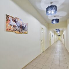Гостиница Volga Volga в Волгограде 8 отзывов об отеле, цены и фото номеров - забронировать гостиницу Volga Volga онлайн Волгоград интерьер отеля фото 3