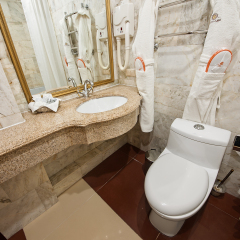 Vnukovo Village Park Hotel and Spa 4* Люкс фото 10