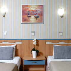 Marins Park Hotel Sochi 4* Номер Комфорт с разными типами кроватей фото 2