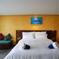 Отель Coriacea Boutique Resort 4* Номер Делюкс разные типы кроватей фото 5