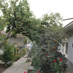 Отель ELES Guest House Стандартный номер с различными типами кроватей фото 8