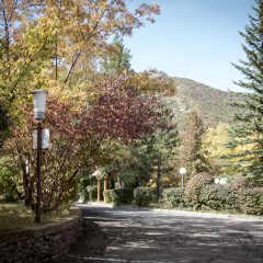 Гостиница Park Resort Aghveran