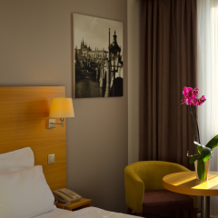 Отель Botanique Prague 4* Стандартный номер с различными типами кроватей фото 2