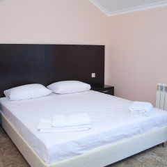 Golden Ring Hotel 2* Номер Комфорт с разными типами кроватей