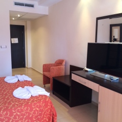 TM Deluxe Hotel детские мероприятия