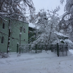 Гостиница Хостел для Рабочих в Звенигороде отзывы, цены и фото номеров - забронировать гостиницу Хостел для Рабочих онлайн Звенигород вид на фасад