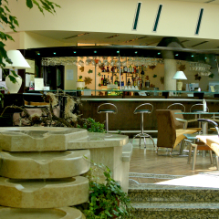 Naturmed Hotel Carbona гостиничный бар