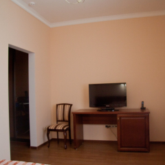 Гостиница Мальдини 4* Номер Эконом с разными типами кроватей фото 2
