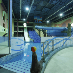 Отель Aquatek Resort and SPA сауна