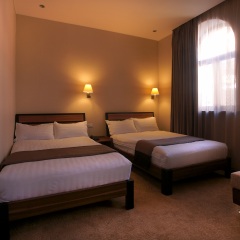 Bass Boutique Hotel 4* Номер Делюкс с различными типами кроватей