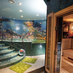 Гостиница Luciano Spa сауна фото 4