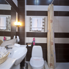 Гостиница Amici Grand 4* Полулюкс с разными типами кроватей фото 3
