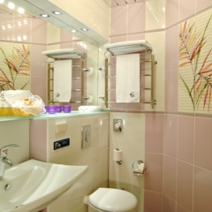 Гостиница Бон Ами 4* Номер Комфорт с разными типами кроватей фото 7