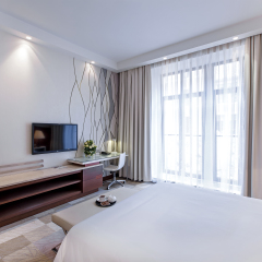 Отель Novotel Congress Krasnaya Polyana 3* Стандартный номер фото 2