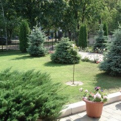 Гостиница SV Park-Hotel Украина, Харьков - отзывы, цены и фото номеров - забронировать гостиницу SV Park-Hotel онлайн фото 7
