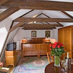 Hotel Waldstein 4* Номер Делюкс с различными типами кроватей фото 11