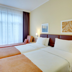 Гостиница Golden Tulip Rosa Khutor (Голден Тюлип Роза Хутор) 4* Стандартный номер с различными типами кроватей