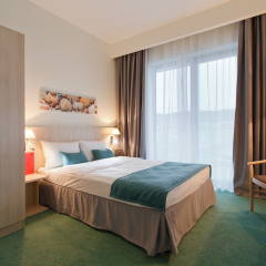 Sochi Park Hotel 3* Стандартный номер с различными типами кроватей