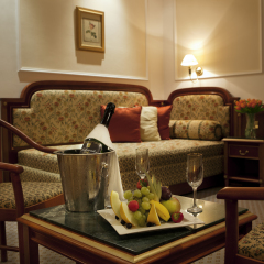 TOP Hotel Ambassador-Zlata Husa 4* Стандартный номер с разными типами кроватей фото 4